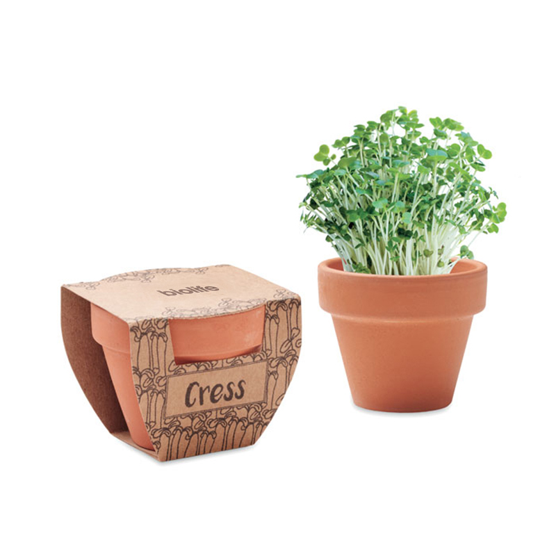 Terracotta pot Cress | Eco gift